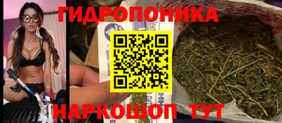 спайс Коммунар