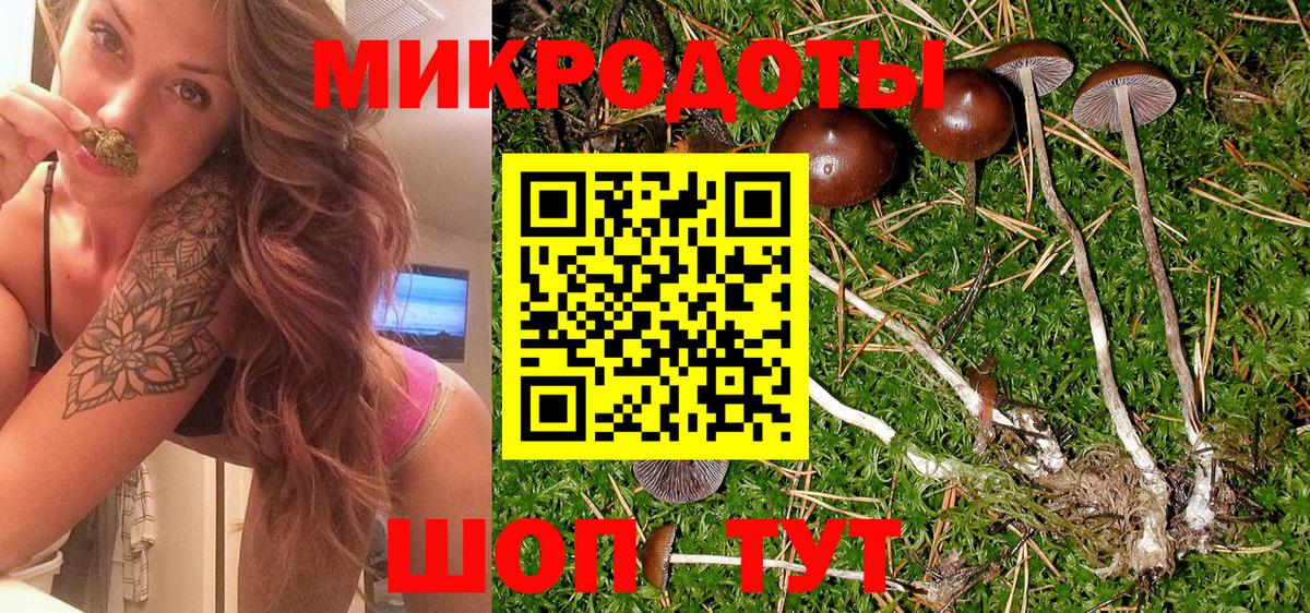 Кувандык  Псилоцибиновые грибы мицелий  Вход с VPN 